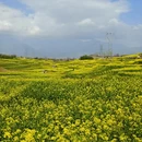汉中旅游 缩略图 7