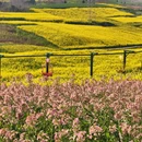 汉中旅游 缩略图 8