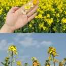 镇江旅游 缩略图 7