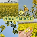 镇江旅游 缩略图 1