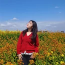 汉中旅游 缩略图 10