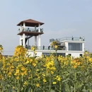 镇江旅游 缩略图 5