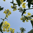 镇江旅游 缩略图 6