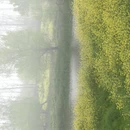 长沙旅游 缩略图 9