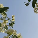 镇江旅游 缩略图 13