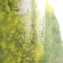 长沙旅游 缩略图 6