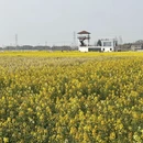 镇江旅游 缩略图 3