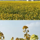 镇江旅游 缩略图 10