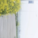 长沙旅游 缩略图 11