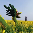泰州旅游 缩略图 5