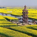 泰州旅游 缩略图 1