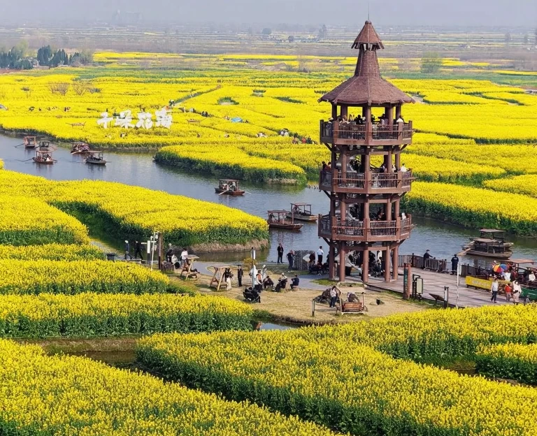 泰州旅游 1