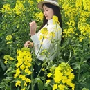 泰州旅游 缩略图 9