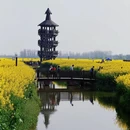 泰州旅游 缩略图 13