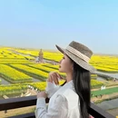 泰州旅游 缩略图 8