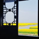 泰州旅游 缩略图 17