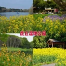 苏州旅游 缩略图 8