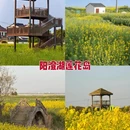 苏州旅游 缩略图 6