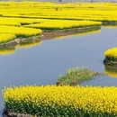 泰州旅游 缩略图 16