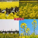 苏州旅游 缩略图 5