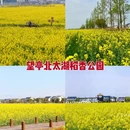 苏州旅游 缩略图 4