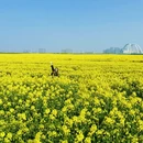 常州旅游 缩略图 8