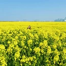 常州旅游 缩略图 10