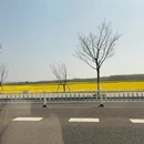 常州旅游 缩略图 5