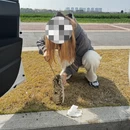 常州旅游 缩略图 7
