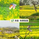 汉中旅游 缩略图 3