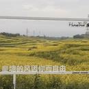 汉中旅游 缩略图 12