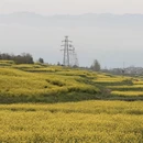 汉中旅游 缩略图 13