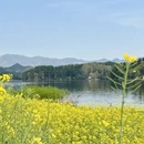 汉中旅游 缩略图 2