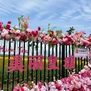 汉中旅游 缩略图 3