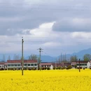 汉中旅游 缩略图 4
