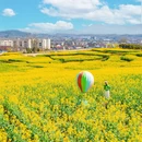 汉中旅游 缩略图 3