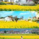汉中旅游 缩略图 4