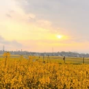 汉中旅游 缩略图 7