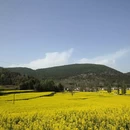 汉中旅游 缩略图 5