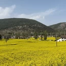 汉中旅游 缩略图 6
