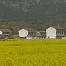 汉中旅游 缩略图 8