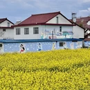 汉中旅游 缩略图 11