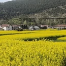 汉中旅游 缩略图 10
