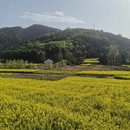 汉中旅游 缩略图 12