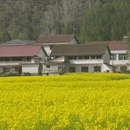 汉中旅游 缩略图 7