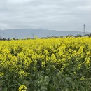汉中旅游 缩略图 4