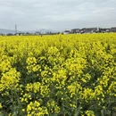 汉中旅游 缩略图 2