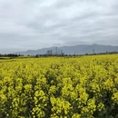 汉中旅游 缩略图 3