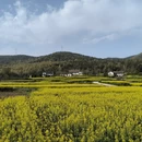 汉中旅游 缩略图 13