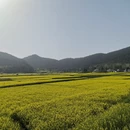 汉中旅游 缩略图 11